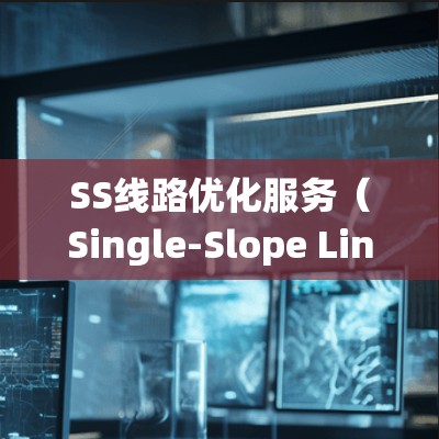SS线路优化服务（Single-Slope Line Optimization Service）通常指的是电力系统中的一种优化技术或服务，具体含义可能因上下文而异。以下是一些可能的解释
