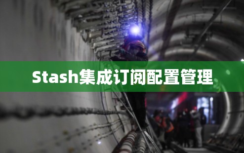 Stash集成订阅配置管理