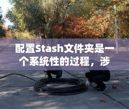 配置Stash文件夹是一个系统性的过程，涉及结构设置、属性配置和权限管理。以下是一个详细且系统化的配置步骤