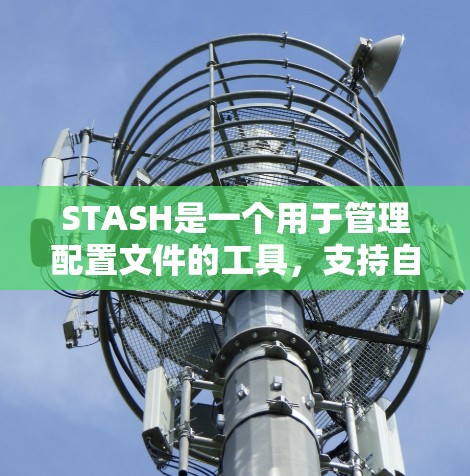 STASH是一个用于管理配置文件的工具，支持自动处理文件夹和文件。以下是使用STASH的指南