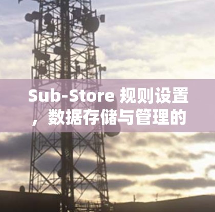 Sub-Store 规则设置，数据存储与管理的全新解决方案