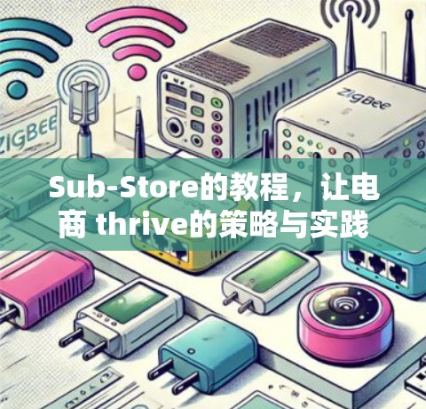 Sub-Store的教程，让电商 thrive的策略与实践
