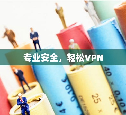 专业安全，轻松VPN