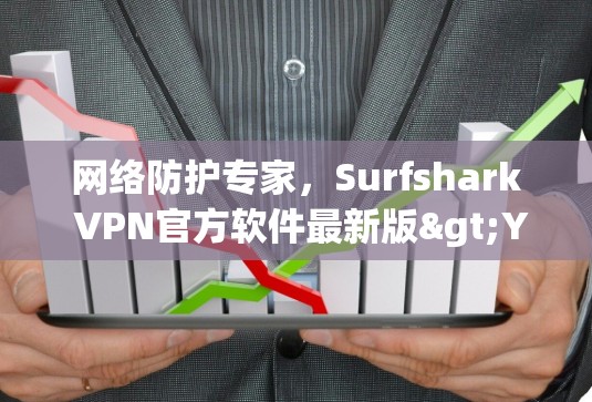 网络防护专家，Surfshark VPN官方软件最新版>Your安全得保障