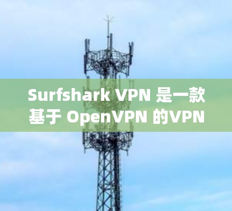 Surfshark VPN 是一款基于 OpenVPN 的VPN 解决方案，旨在提供安全、可靠和高效的网络连接。以下是对 Surfshark VPN 速度的详细分析