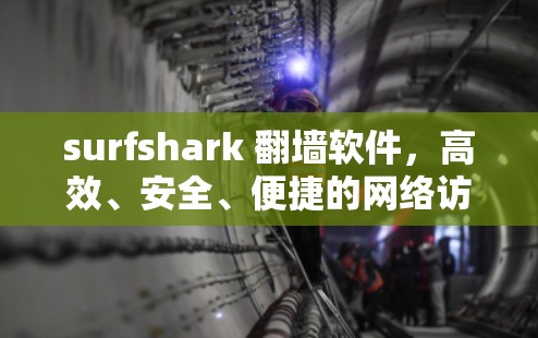 surfshark 翻墙软件，高效、安全、便捷的网络访问解决方案