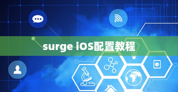 surge iOS配置教程