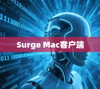 Surge Mac客户端
