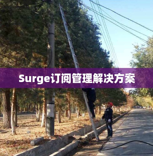 Surge订阅管理解决方案