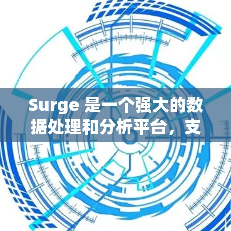 Surge 是一个强大的数据处理和分析平台，支持多种节点设置方法。以下是几种常见的节点设置方法，供你参考